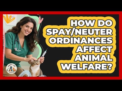 How Do Spay/neuter Ordinances Affect Animal Welfare? - Animal Care Jobs