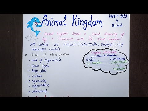 Animal kingdom | Class 11 biology | NEET | Chapter 4 notes