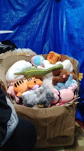 JACKY LINE 3 on Reels