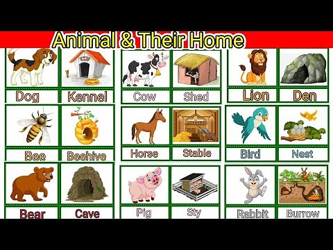 Animals and their Homes | Learn about Animals and their Home | Animals home name | Home of Animals