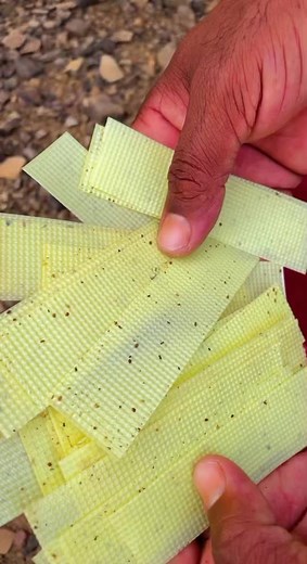 خالد الربيعي على TikTok