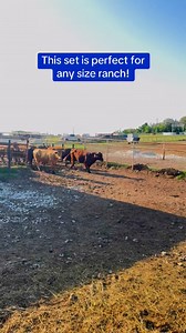 We’ve got 9 head of Beefmaster-type cattle, 4 to 6 years old, heavy bred, and easy going.✅ Calm disposition—perfect for any size ranch✅ Completely worked and ready to turn out✅ Built to raise calves that’ll bring solid returns💲 $2,850 each📍 Located in Fairfield, Texas🚚 Shipping available📦 Take any number📞 Call or text Bubba @ 903-388-4472📞 Para Español, llame o envíe un mensaje de texto a Ricardo al 903-644-6545Why Buy From Us?✔️ Rutherford Land and Cattle LLC is a brick-and-mortar busines