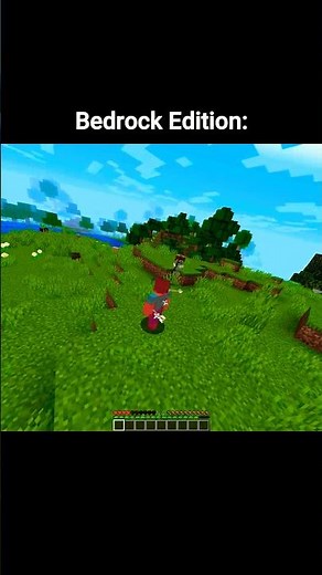 Java Skeleton VS Bedrock Skeleton 💀 #minecraft #shorts