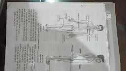 Anatomy - BMLT - Notes - Teachmint