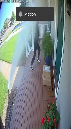 Doorbell Cam: Porch Pirate Meets Backyard Sprinkler Trap
