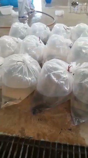 New Batch Arrived — Biofloc System Getting Ready!”