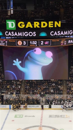 Why I Love Boston and Its Hockey Culture