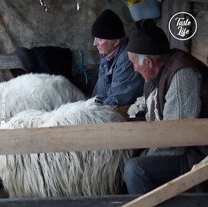 6M views · 77K reactions | Romanian family makes traditional cheese for generations燎 Credit: Felicia Aron - youtube.com/channel/UCcgrLTCf6mZOoAJhiDZ3yWQ | Taste Life | Facebook