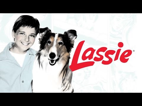 ලැසී | Episode 03 #foryou #sinhalacartoon #lassie