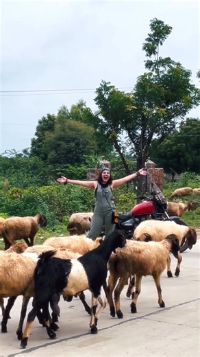 Agsy•Mother OG on Instagram: "🌞Sunsets by the lake, 🐆 leopard safaris, 🗿cave-style suites & 🌊private pools 😍😍 Stayed at @pravegcavesjawai and honestly had the best time ever. KRRRRRR! Jawai is THE hidden gym Rajasthan has been keeping & y’all genuinely need to see it with your own eyes. It is so damn beautiful. ❤️ thankyou @innoocent_munda for suggesting this place 🌸 xoxo #Travelgoals #rajasthan #jawai #luxurystay #safari #tourism #travel #offbeatindia #safaridiaries #jawaisafari"