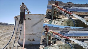 It’s only May, and guzzlers — devices that collect and store rain water for wildlife to drink — are almost dry on the remote Newfoundland Mountains. We can get water to some of the guzzlers using rough dirt roads. Others, though, are too remote. That’s where helicopters come in! Using helicopters, we completely filled four guzzlers with water recently. Four more are partially filled. We’ll continue monitoring the bighorn sheep — and the water situation — as summer progresses. Many thanks to the 