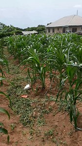 Business Aspect Of Farming Part 1 | Farmvilla Resource Centre