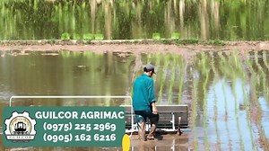 Don't wait for another planting season! Guilcor Agrimac is dedicated in equipping farmers with technology for an efficient agriculture. 👉🏻 Here's our GC-6RRT and it's specifications TYPE: Self- propelled Mechanical Rice Transplanter DIMENSIONS (cm): L-20, W-140, H-65 WEIGHT: 51 kg OPERATION EFFICIENCY: 1,500-2,000 m2/hr TRAVELLING: Wheel Type: iron wheel Diameter: 50 cm PLANTING PROPORTIONS: No. of rows: 6 rows Distance between rows: 20 cm Hill spacing: 18 cm SEEDLING CONDITION: Seedling heigh