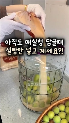 1년에 딱 한 번 담그는 귀한 매실청, 올해도 설탕만 대충 부어두실 건가요? #레시피 #꿀팁 #살림꿀팁