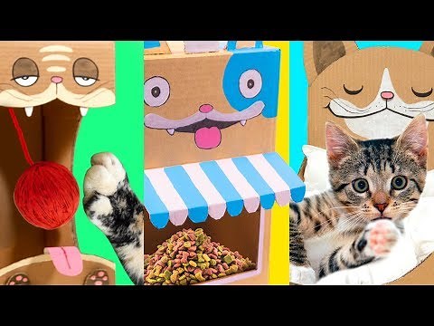 5 DIY Cat Projects from Cardboard | Cute & Easy Ideas for Pets