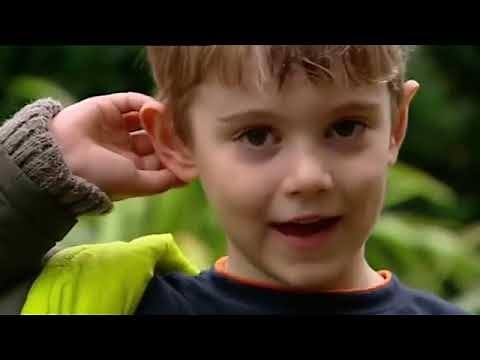 Our Planet - Squirrels and Animals in the Snow (2006)