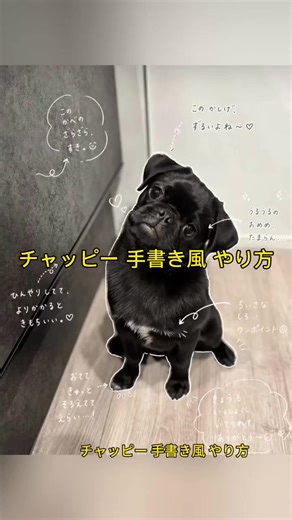 チャッピー手書き加工やり方 チャッピー手書き加工やり方 犬 手書き加工 流行り チャッピー 手書き風 やり方 手書き加工 手書き加工アプリ 手書き編集やり方 手書き加工やり方 手書き加工のやり方 メモ チャッピーやり方 画像加工 手書き やり方 • chatgpt プロンプト 手書き • チャットgpt 文字入れ 画像 • chatgpt画像生成 頼み方 一覧 • capcut赤ちゃんaiやり方 無料 • chatgpt プロンプト 一覧 日本語 • chatgpt画像生成 頼み方 赤ちゃん chatgpt 画像生成 赤ちゃん#手書き加工 #手書き加工やり方#hypic #hypiccreator #Godpic @HypicVietnam @hypic_global
