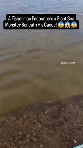 16K views · 110 reactions | A fisherman was peacefully fishing on the...