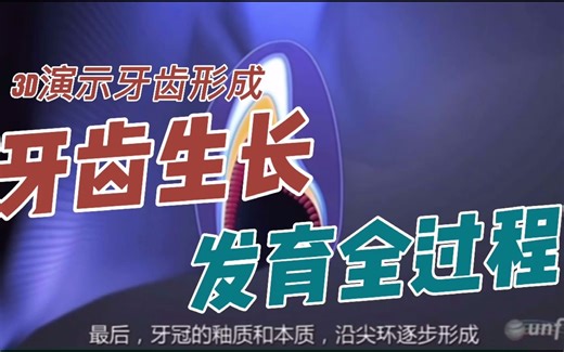 【涨知识】3D动画演示牙齿的形成，你知道牙齿生长发育全过程吗？