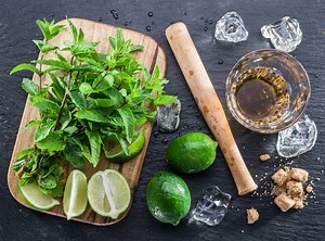 Mojito. El origen de su sabor y su tradición - Gourmet de México: Vive el placer de la gastronomía.