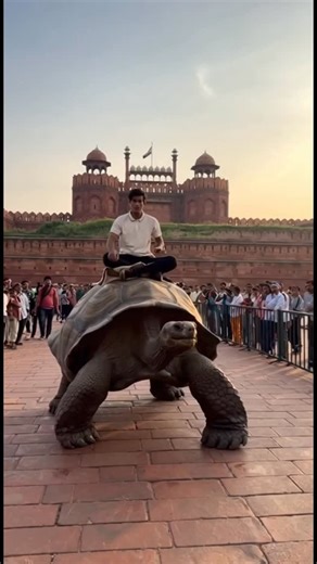 Akshat Bajpai on Instagram: "“Red Fort 🤝 Giant Tortoise. Only in Delhi! 😂🐢🚩” . . . . . . . . . Giant Tortoise Delhi Red Fort Challenge Delhi Viral Video Unique Ride India Fantasy Creatures Delhi . . . . . #reels #viral #explorepage #fyp #delhi"