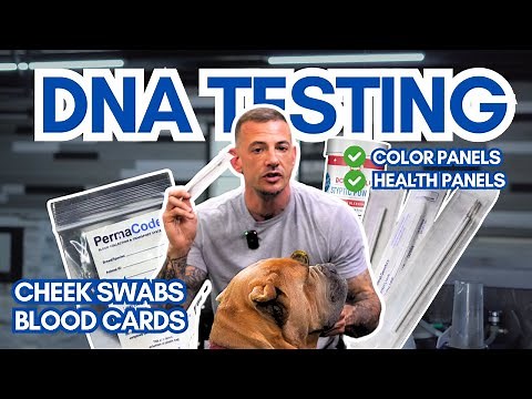 How to DNA Test Your Dog the RIGHT Way & Save Money! (Step-by-Step Guide)