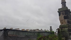 5.6K views · 208 reactions | Watch as the Red Arrows arrive at the Scottish international Airshow over Ayr high street!  | Ayrshire Daily News | Facebook