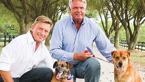 Story from Sponsor Story: Wellington couple’s inspiring tale of rescuing 11,000 dogs now a movie