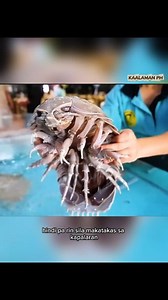 Isa sa nakakatakot na pagkain sa buong mundo 😱 | Kaalaman PH