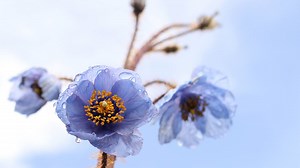 9.7K views · 803 reactions | The trailer of the documentary "The...