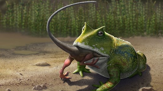 10 Cretaceous Animals That Weren't Dinosaurs