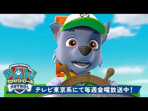 パウ・パトロール | パウ・パトロール、最高の海のレスキューミッション🤿 | テレビ東京系にて放送中