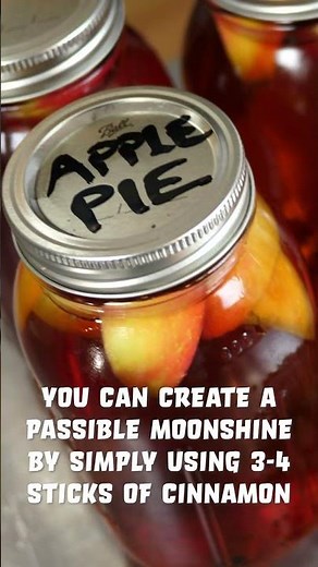 HOW TO MAKE APPLE PIE MOONSHINE