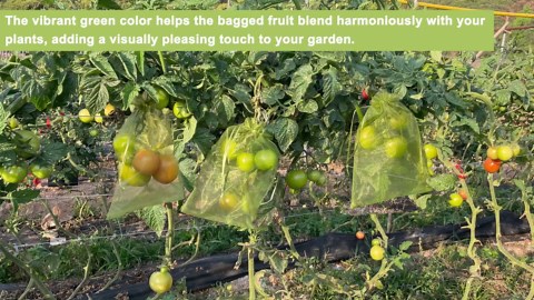 100pcs Fruit Protection Bags 8x12 inch, Green Netting Cover Bags Drawstring Mesh Fruit Protectors Pest Barrier for Grapes Mango Trees Veggies Garden
