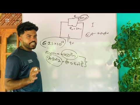 Bio system technology A/l