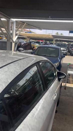 ¡Se desgreñaron en pleno Walmart! Lo que debía ser una compra navideña tranquila terminó en caos esta mañana : dos mujeres se desgreñaron por un lugar de estacionamiento . Jalones de cabello, gritos y miradas de sorpresa de los clientes… todo a días de Navidad. ¿Y el espíritu navideño?🎄🎁🎅 A veces el estrés le gana a la paciencia. | Sensor Informativo