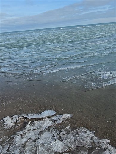 Jamaican in Canada. I love Canada but not winter lol. #fyp #876 #funny