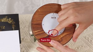 Preserved Roses in Glass Dome with LED Light - Long Lasting Real Roses, Forever Flowers for Delivery, Mothers Gifts for Her, Mom, Wife Anniversary Birthday Valentines Day Gifts for Women, Champagne