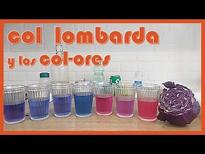 🔬 Experimento: COL LOMBARDA y los COLORES