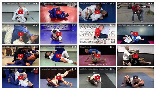 The 16 Most Important Techniques for the BJJ Beginner