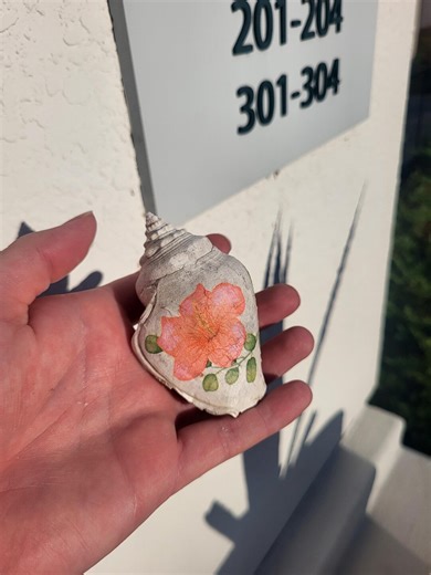 Floral Decoupaged Fossil Strombus Shell From Florida, 2 Million Years Old - Etsy