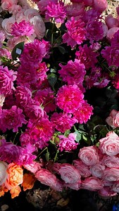 1.3K views · 32 reactions | Since the very beginning, at EMC we’ve...