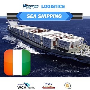 [Hot Item] FCL LCL Sea Freight Forwarder From China to Ivory Coast with Customs Clearance