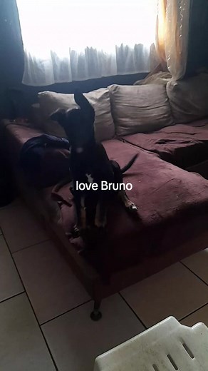 Sandyzee (@sandra.zee)’s videos with original sound - Sandyzee