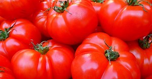 3 Methods On How To Store Your Tomatoes In The Proper Way