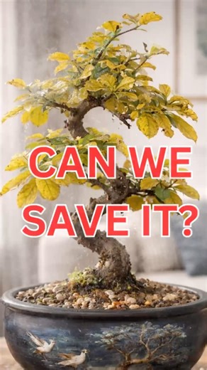 👉 STOP. You’re Drowning Your Bonsai Right Now 🚨 #bonsai #plantcare #bonsaitips