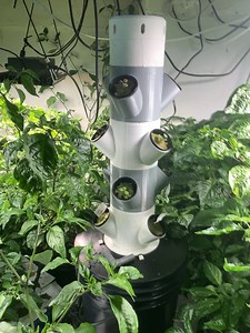 3D printed myself a hydroponic tower for lettuce and herbs. Uses existing light in my grow space