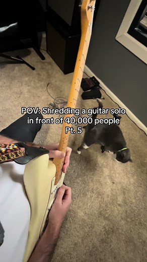 Epic Guitar Solo Performance Before Massive Crowd