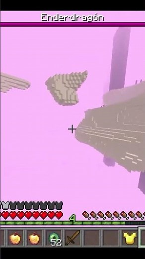 How to Use Elytra Like a Pro #minecraft #walfas #humor #memes #xd