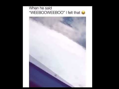 Dog says weeboo weeboo meme